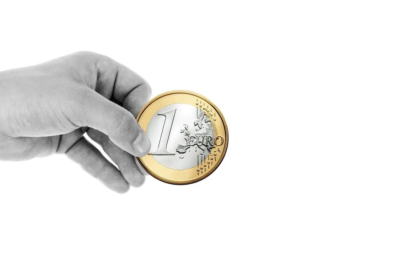 Hand mit Euro